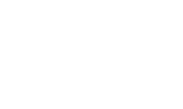 logo-new_york_state_blues_festival
